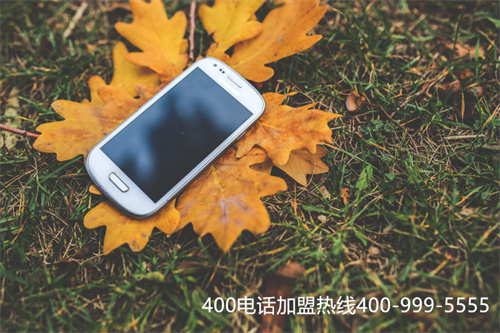 甘肅慶陽400電話號碼精選靚號（400靚號申請排行榜）