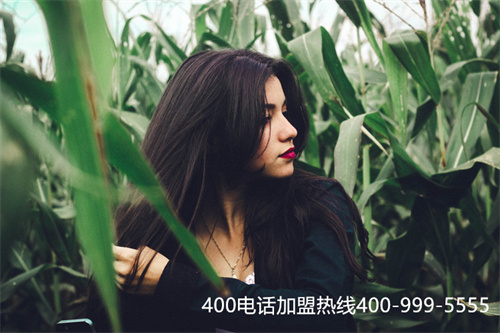 (撥打400電話每分鐘多少錢)(400電話申請一般需要多少錢？)
